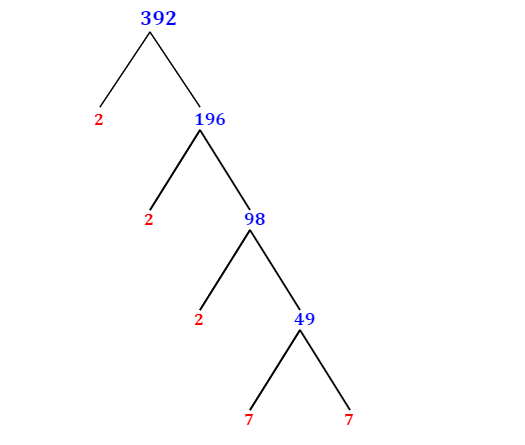 prime-factorization-of-392-with-a-factor-tree-mathondemand